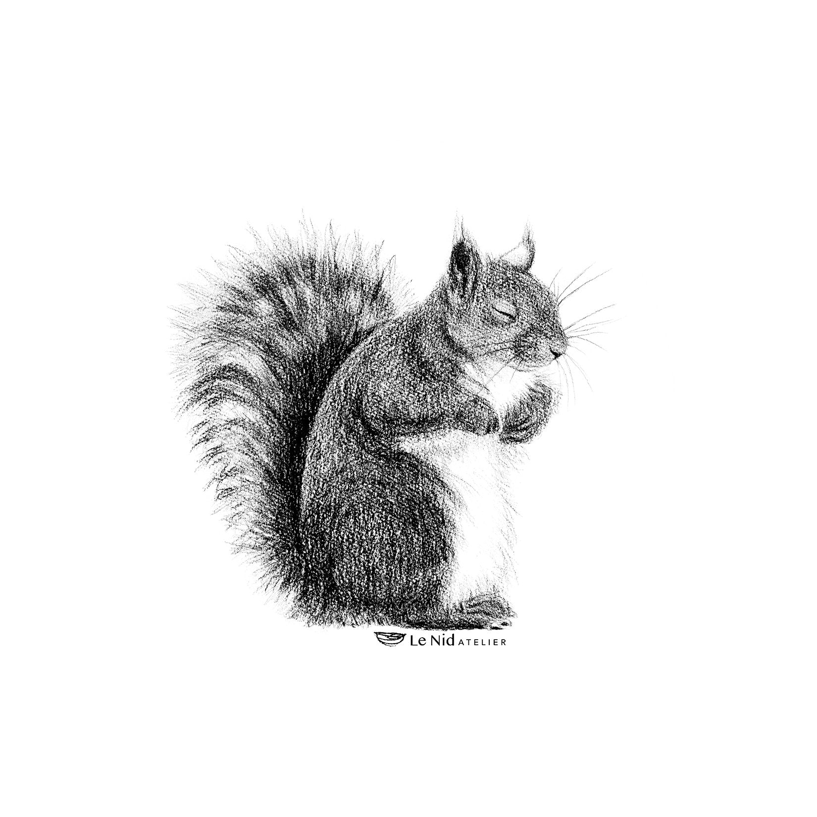 Sleepy Squirrel Sticker for Water Bottle, Agenda or Computer