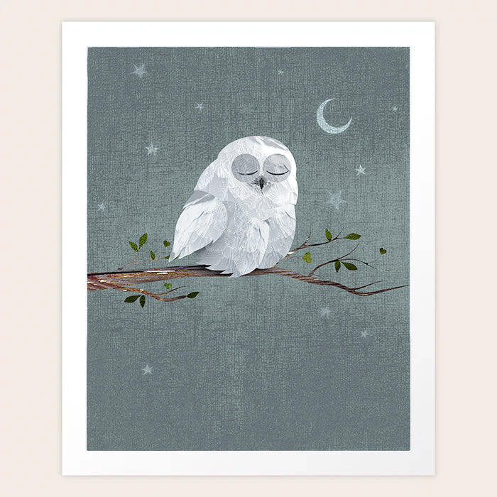 Impression d'art de hibou endormi