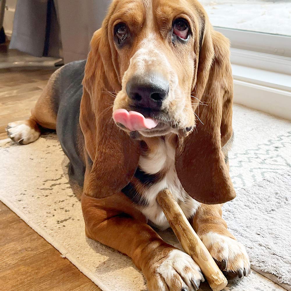 Petit bois à mâcher pour café