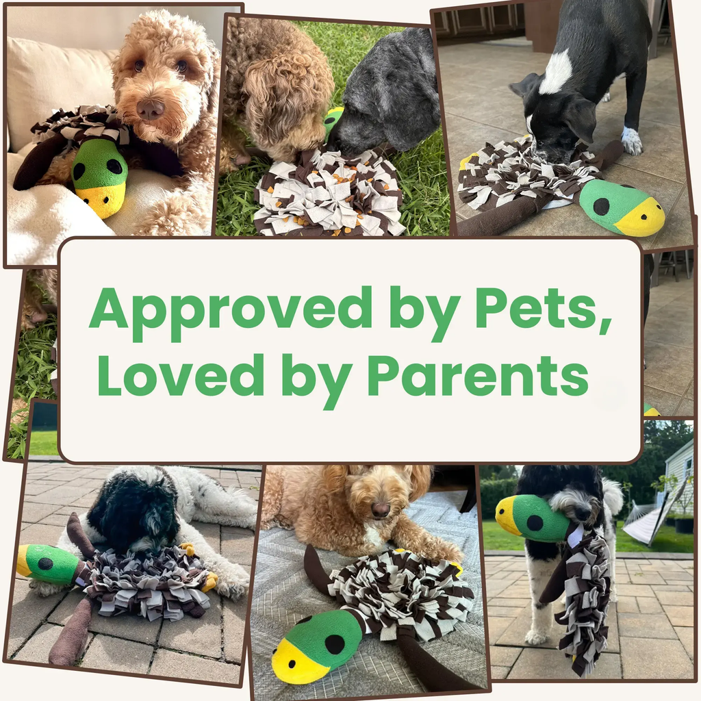 Squeaky Duck Snuffle Mat for Dogs – 2-in-1 Toy & Foraging Fun