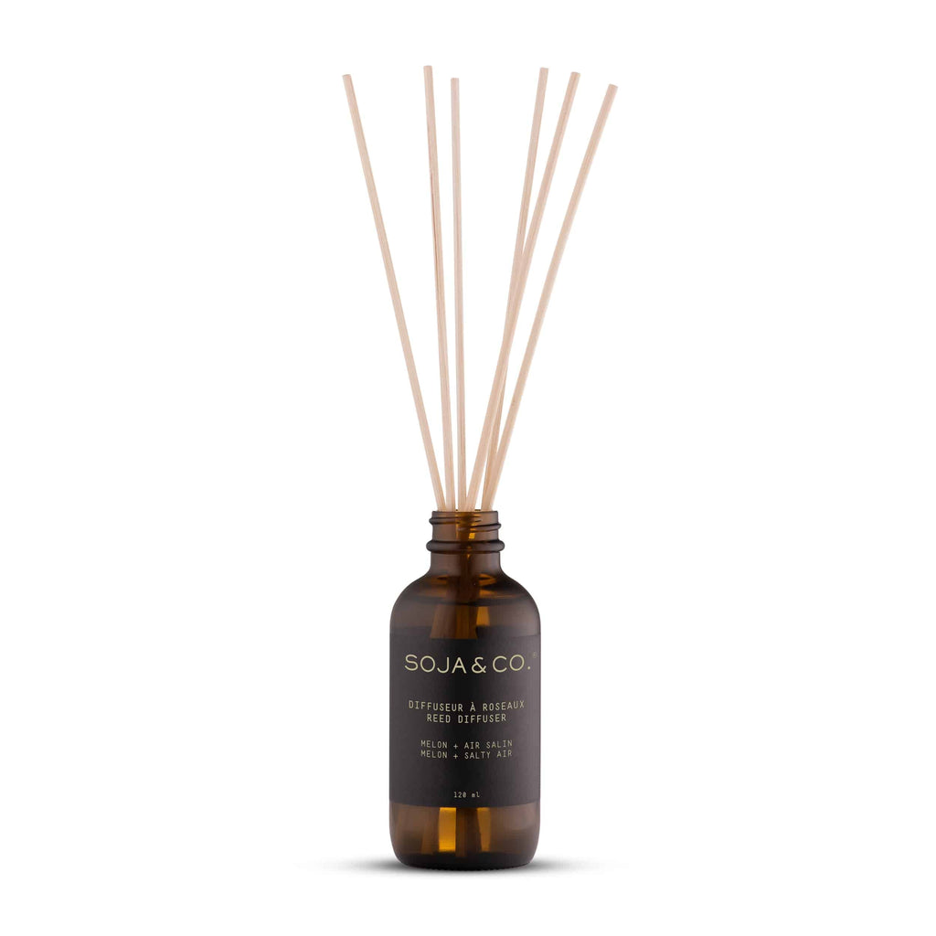 Reed Diffuser | Melon + Salty Air