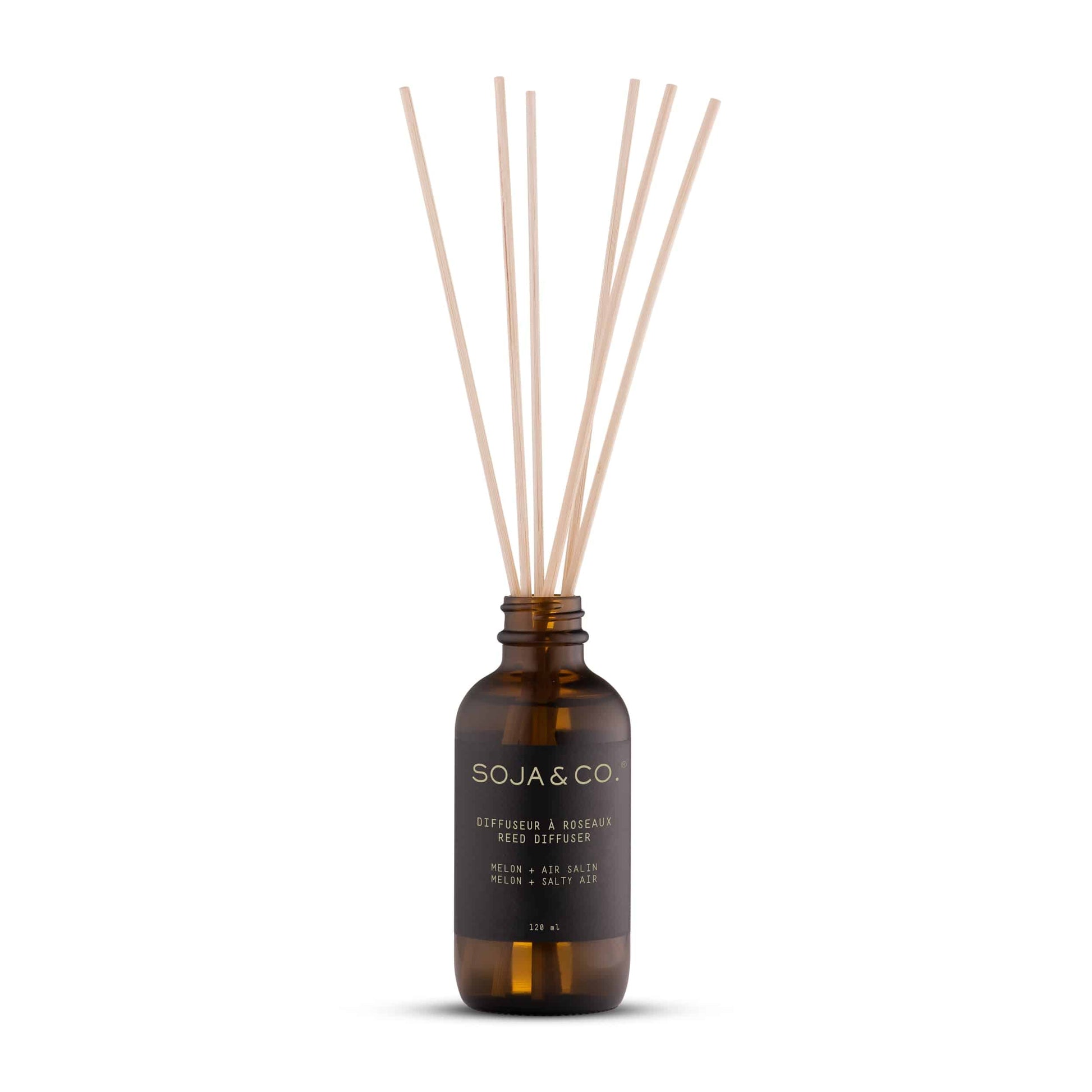 Reed Diffuser | Melon + Salty Air