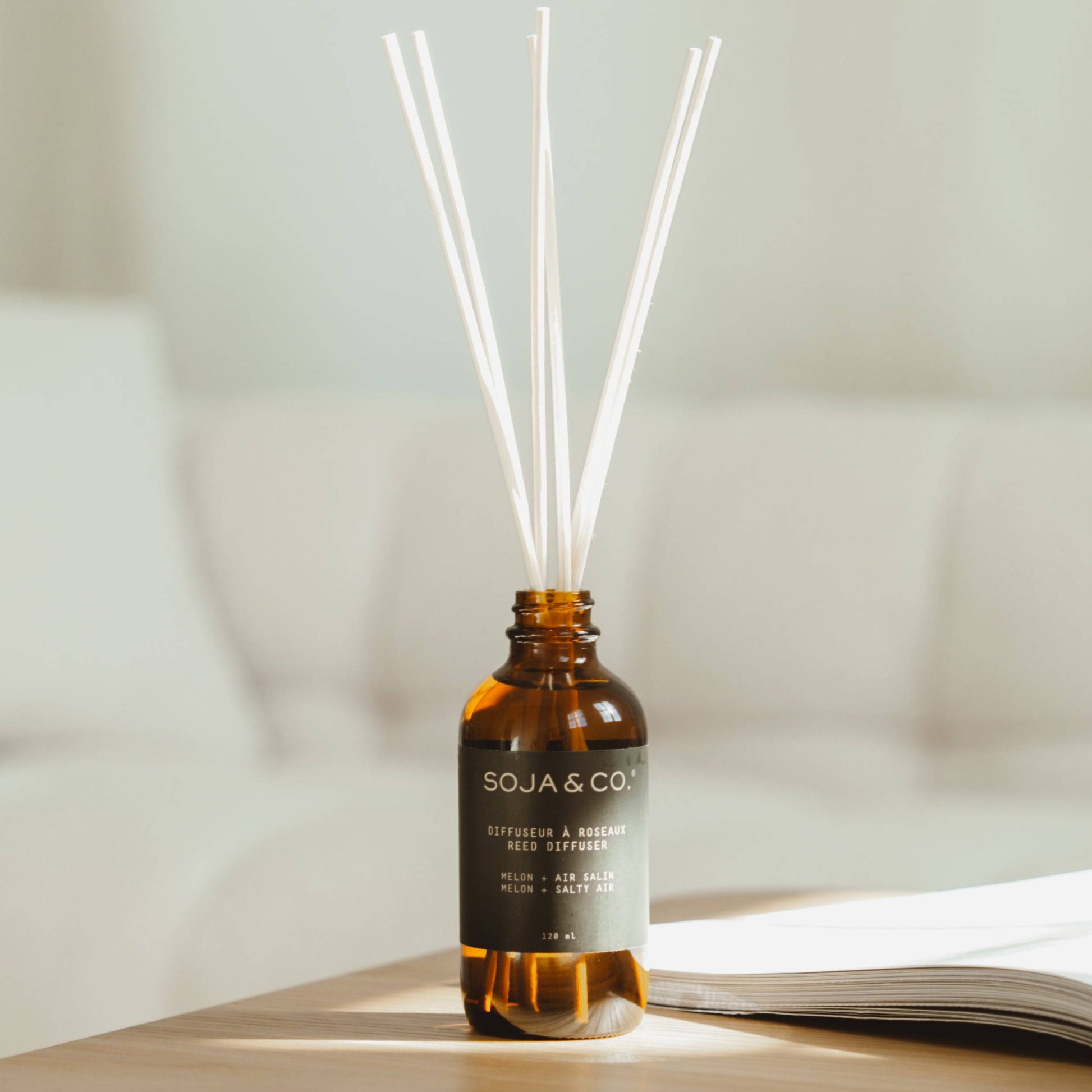 Reed Diffuser | Melon + Salty Air