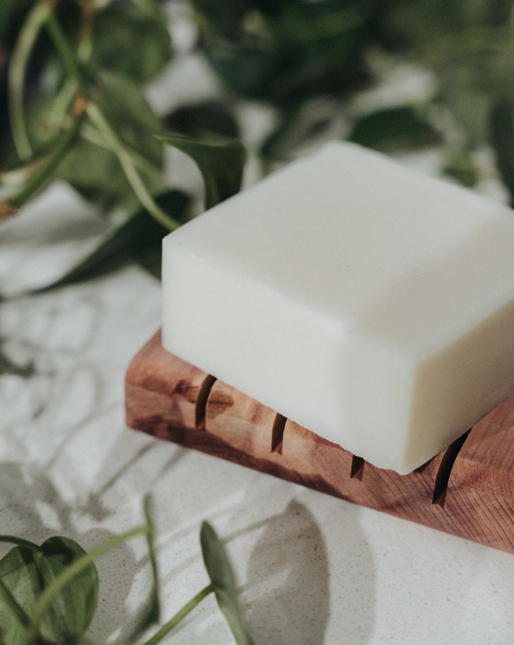 Savon à vaisselle solide | Sans parfum