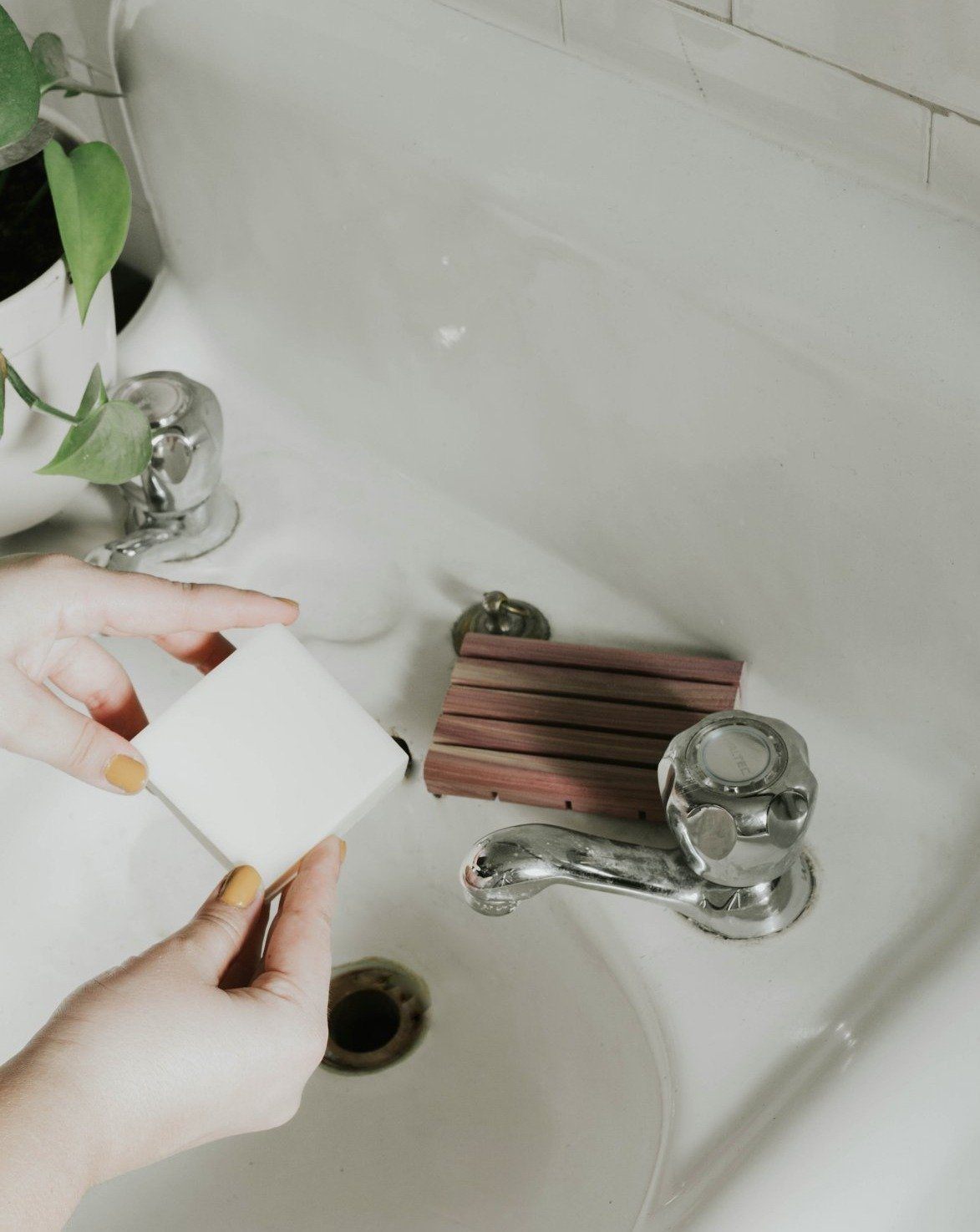 Savon à vaisselle solide | Sans parfum
