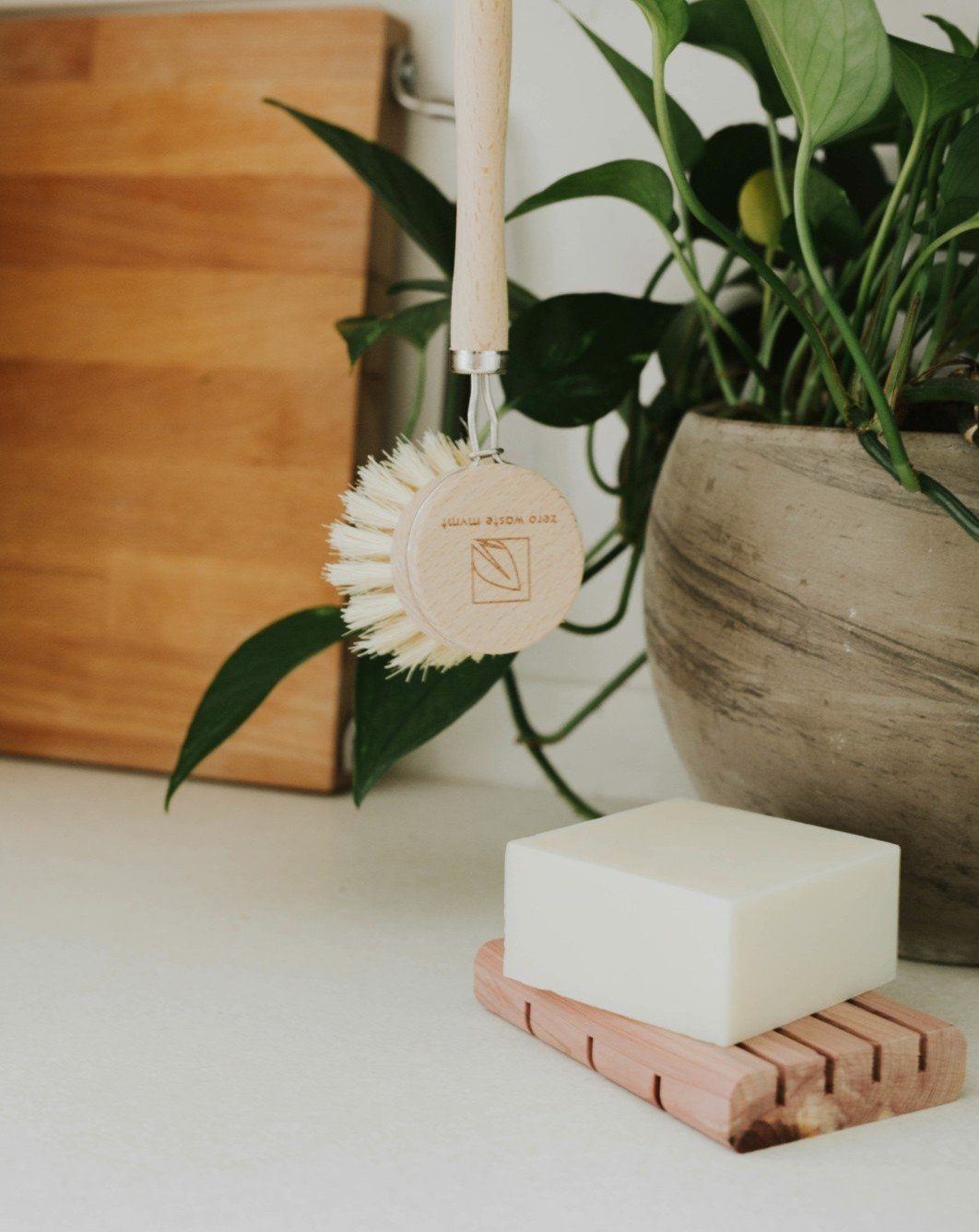 Savon à vaisselle solide | Sans parfum