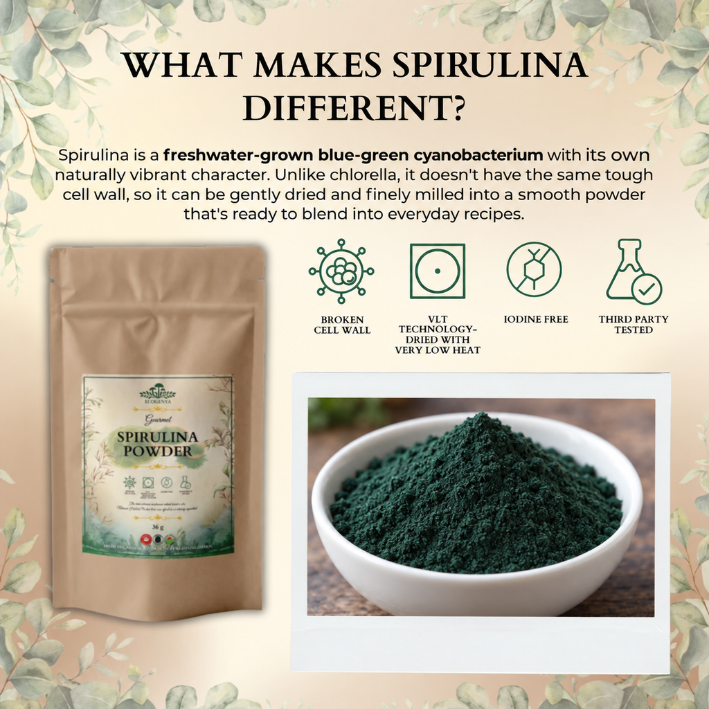 Ecogenya Poudre quotidienne de verdure à la spiruline – Spiruline de qualité supérieure pour smoothies et jus