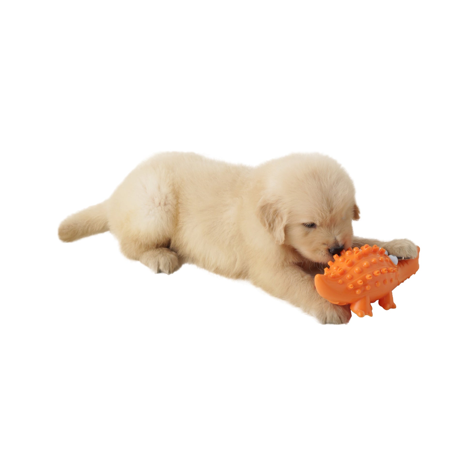 Jouet à mâcher pour chien en forme d'alligator - Couine 