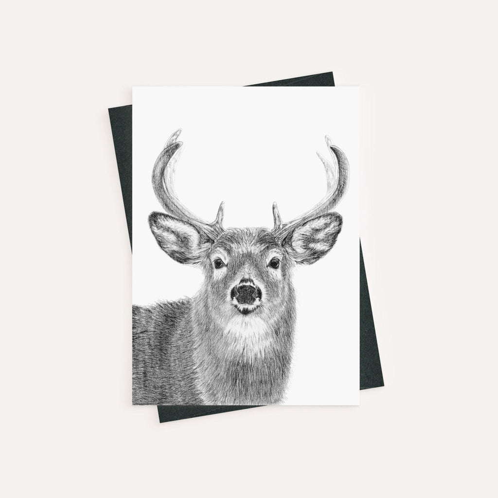 Stag - greeting card