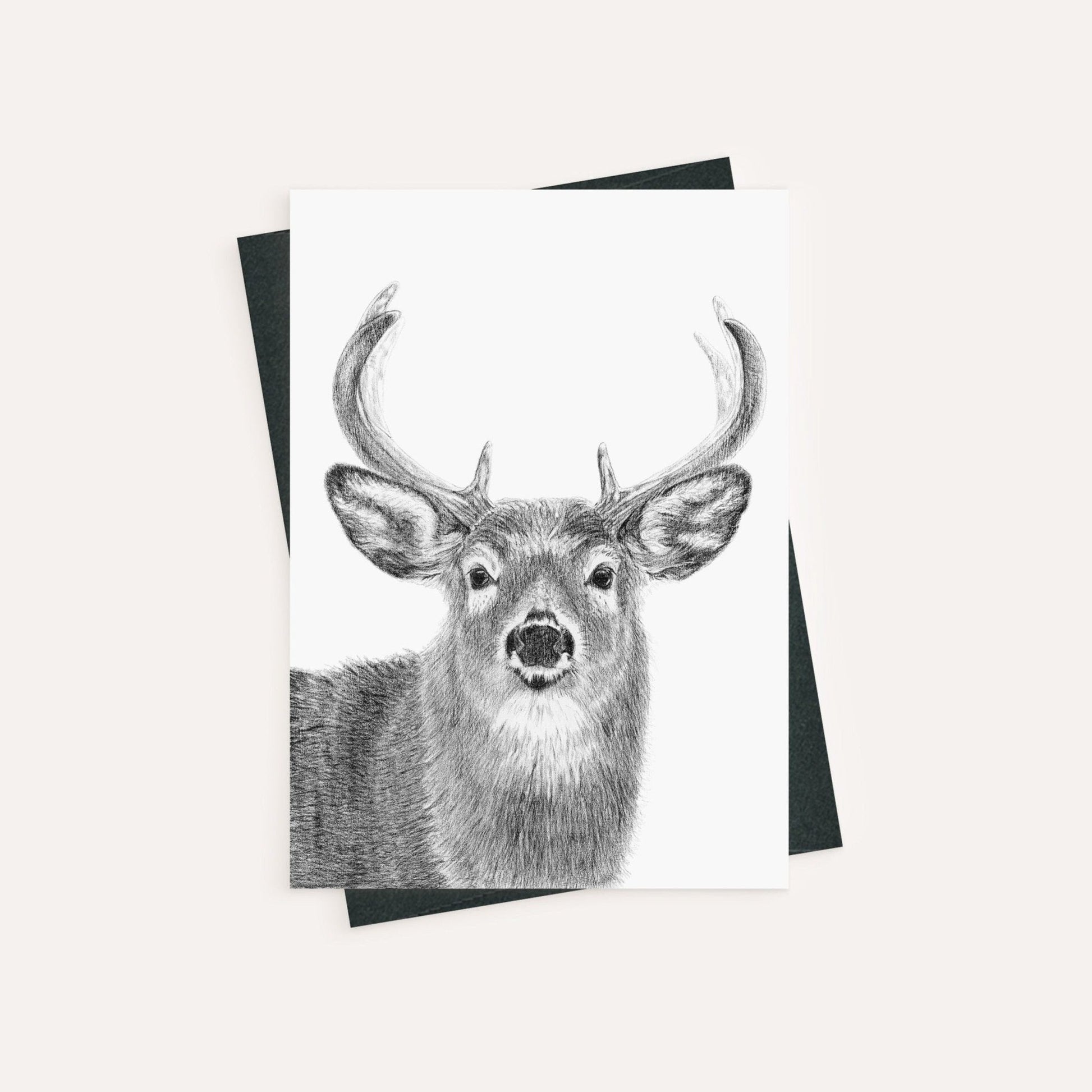 Stag - greeting card