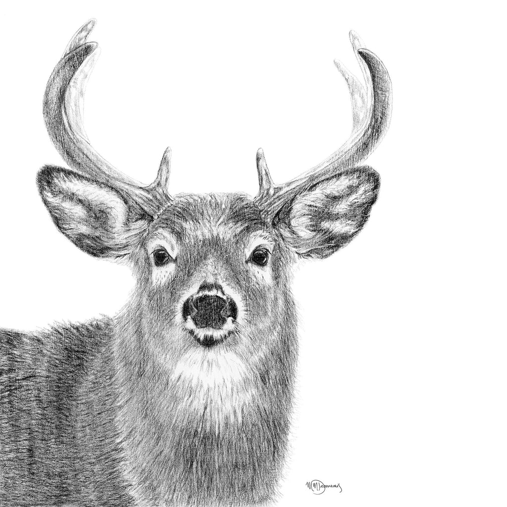 Stag - greeting card