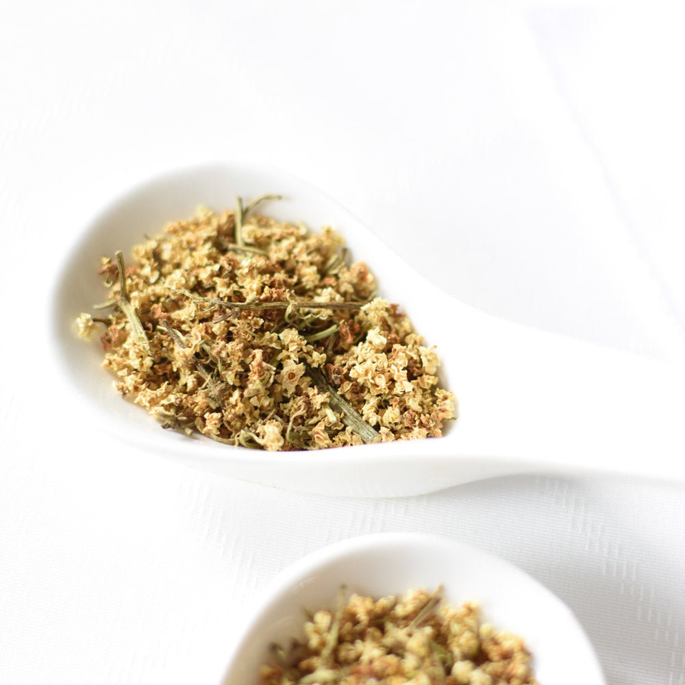 Elderflower