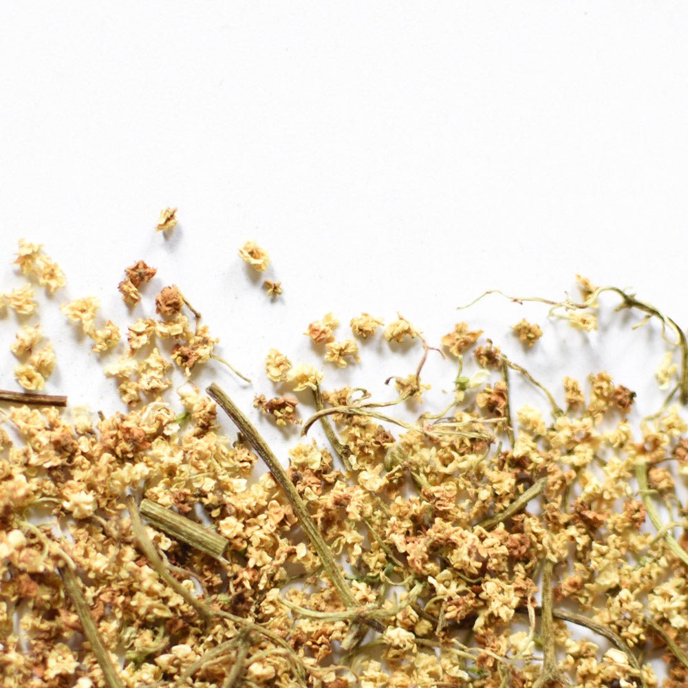 Elderflower