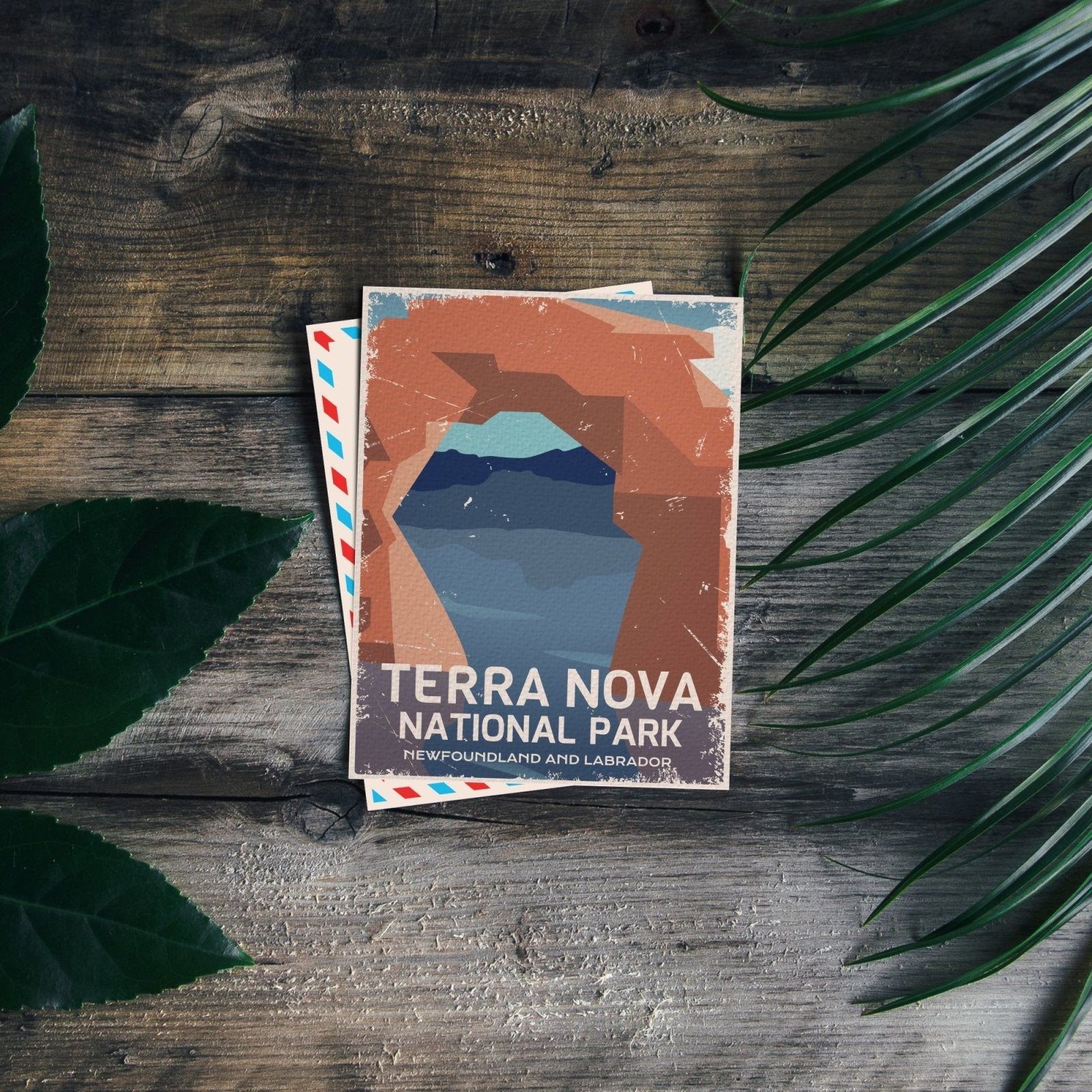 Terra Nova National Park of Canada Postcard