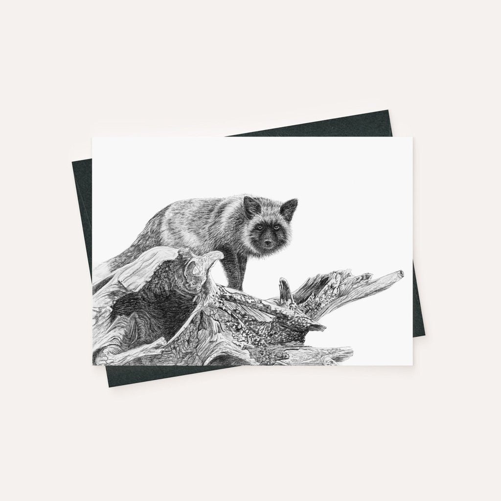 The silver fox - greeting card