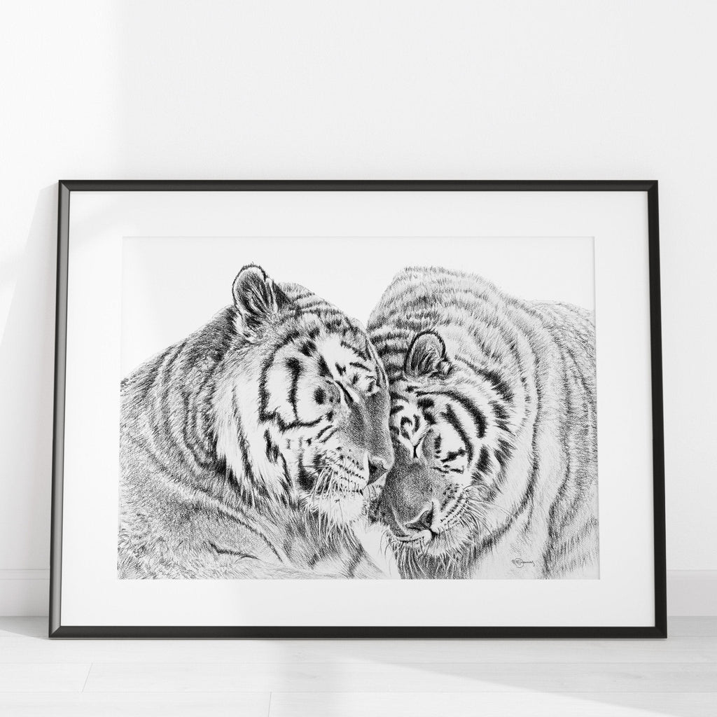Amur Tigers - wildlife art print - collaboration with  La Fondation du Zoo de Granby