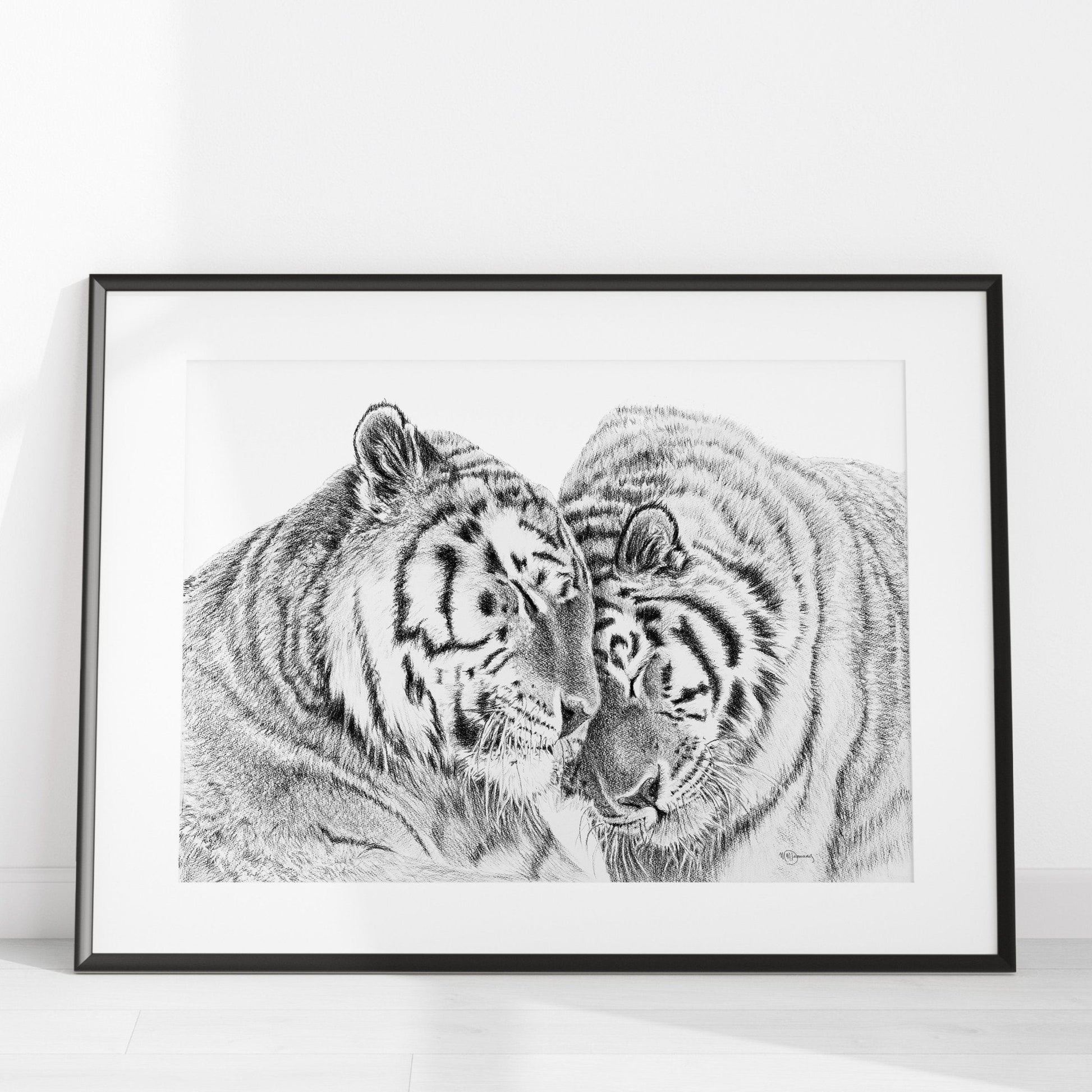 Amur Tigers - wildlife art print - collaboration with  La Fondation du Zoo de Granby