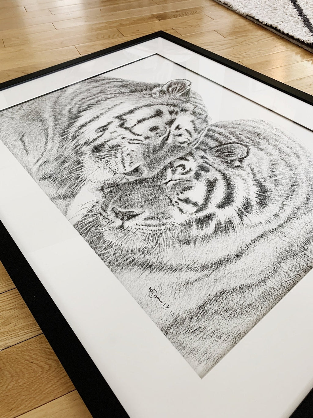 Amur Tigers - wildlife art print - collaboration with  La Fondation du Zoo de Granby