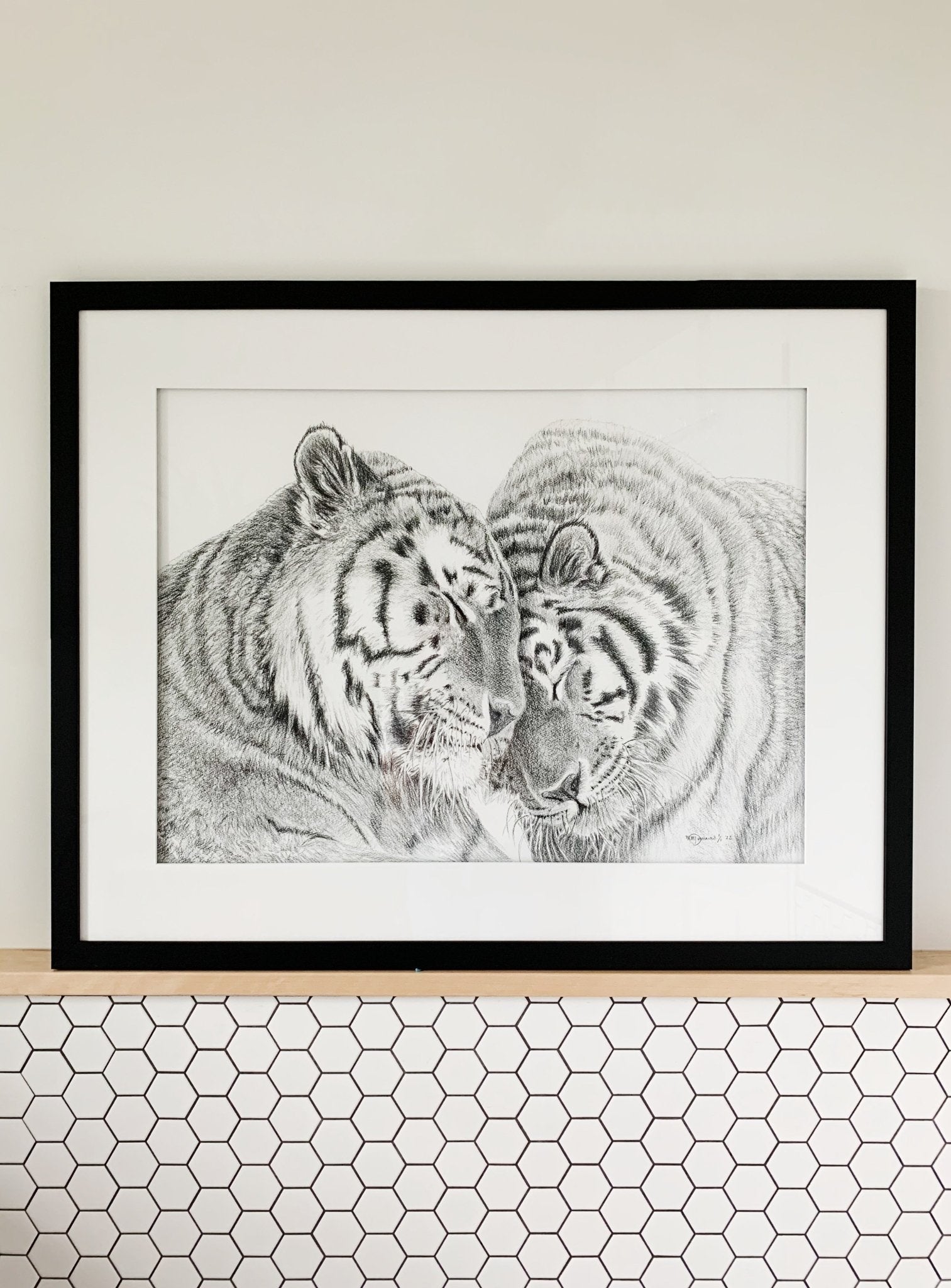 Amur Tigers - wildlife art print - collaboration with  La Fondation du Zoo de Granby