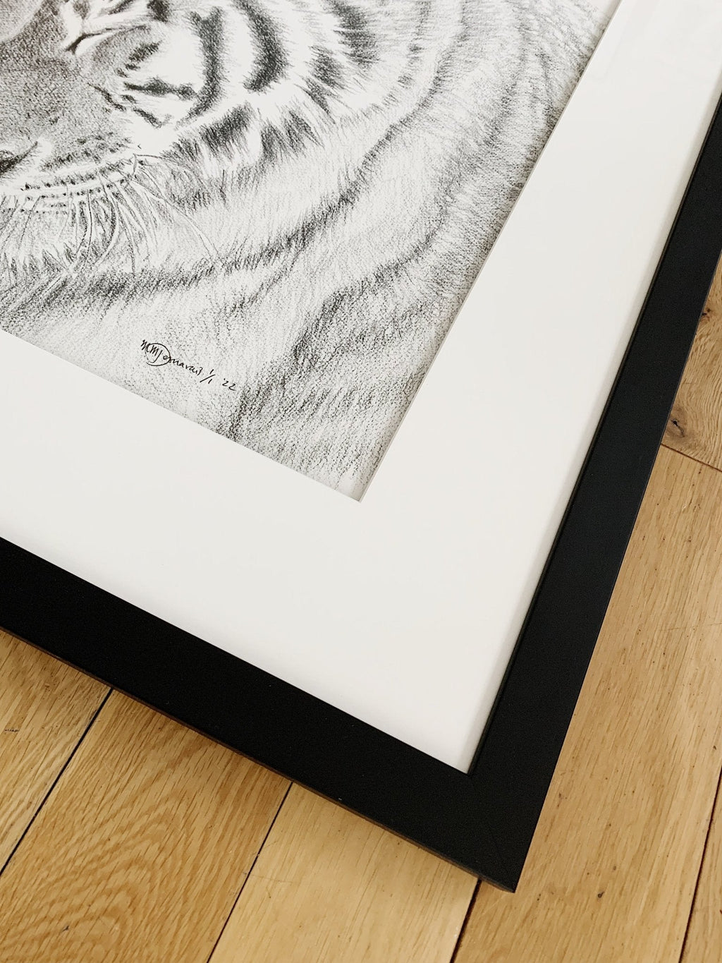 Amur Tigers - wildlife art print - collaboration with  La Fondation du Zoo de Granby