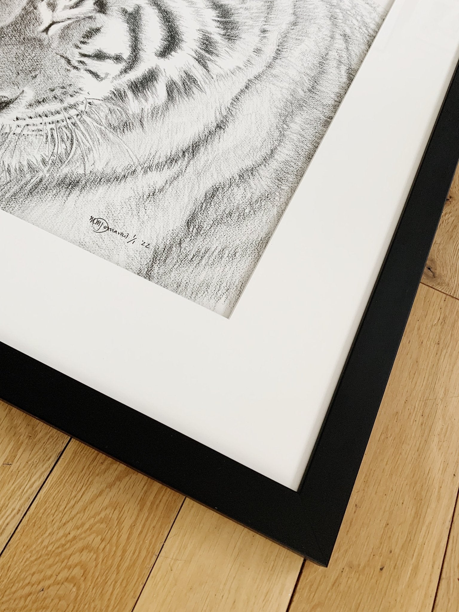 Amur Tigers - wildlife art print - collaboration with  La Fondation du Zoo de Granby