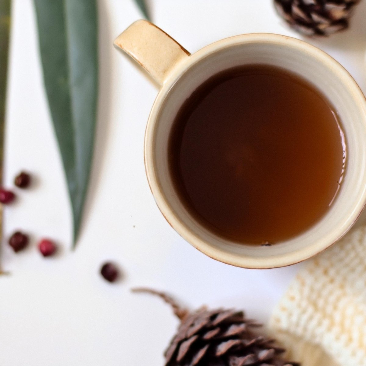Loose Herbal Tea - Rosehip & Pimbina