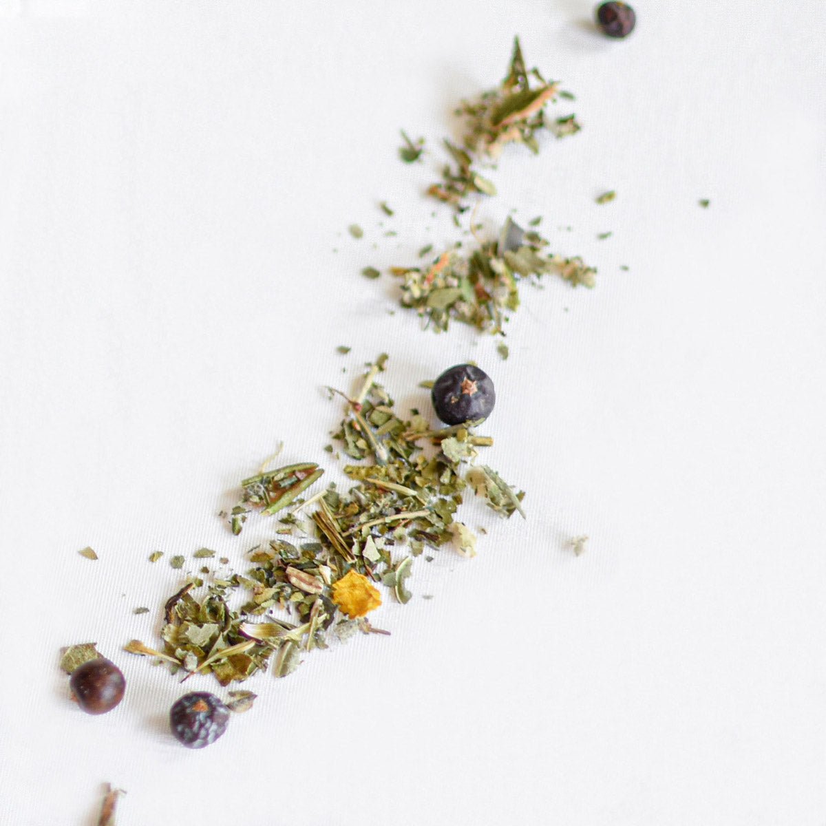 Loose Herbal Tea - Myrica & Echinacea