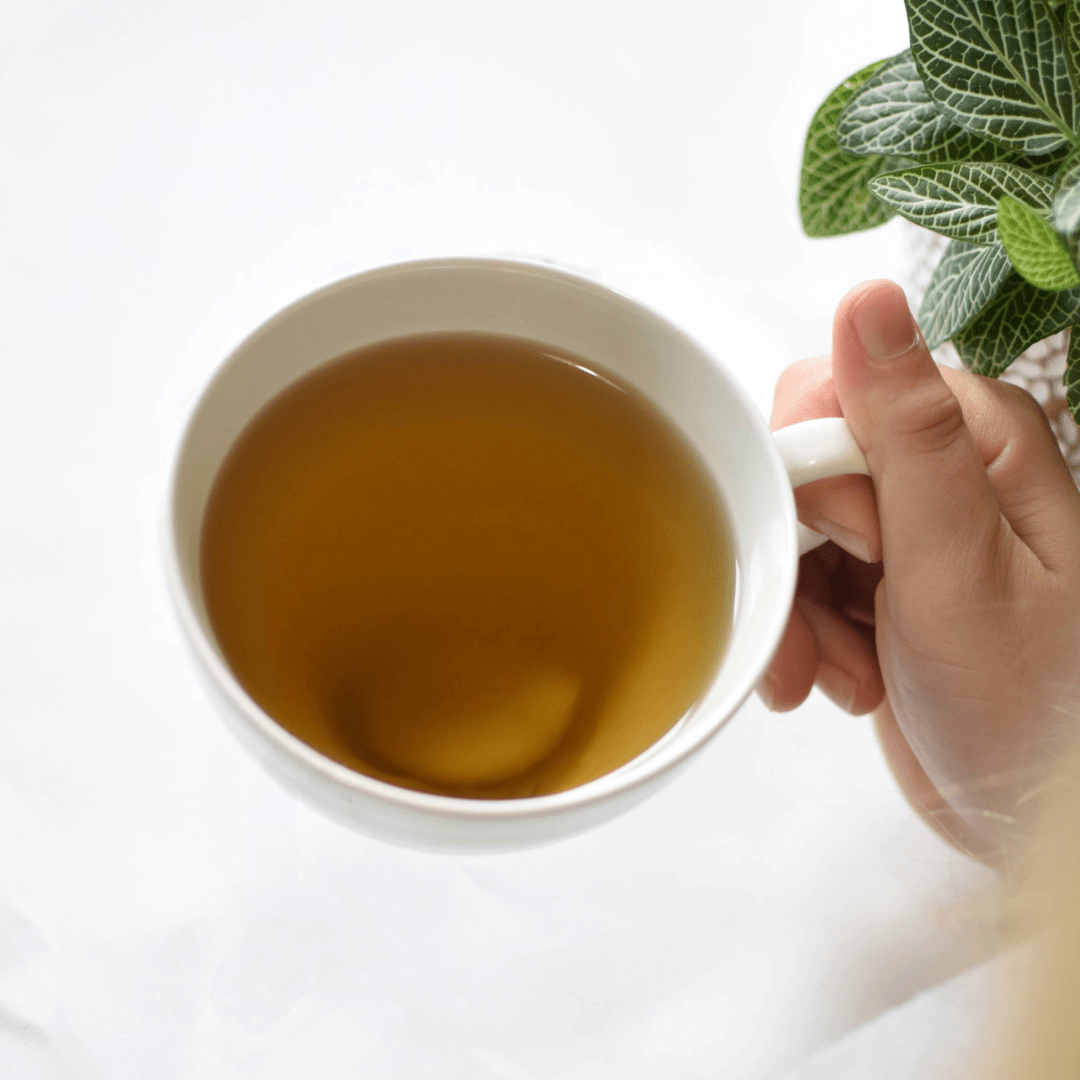 Loose Leaf Herbal Tea - Thuja & Lavender