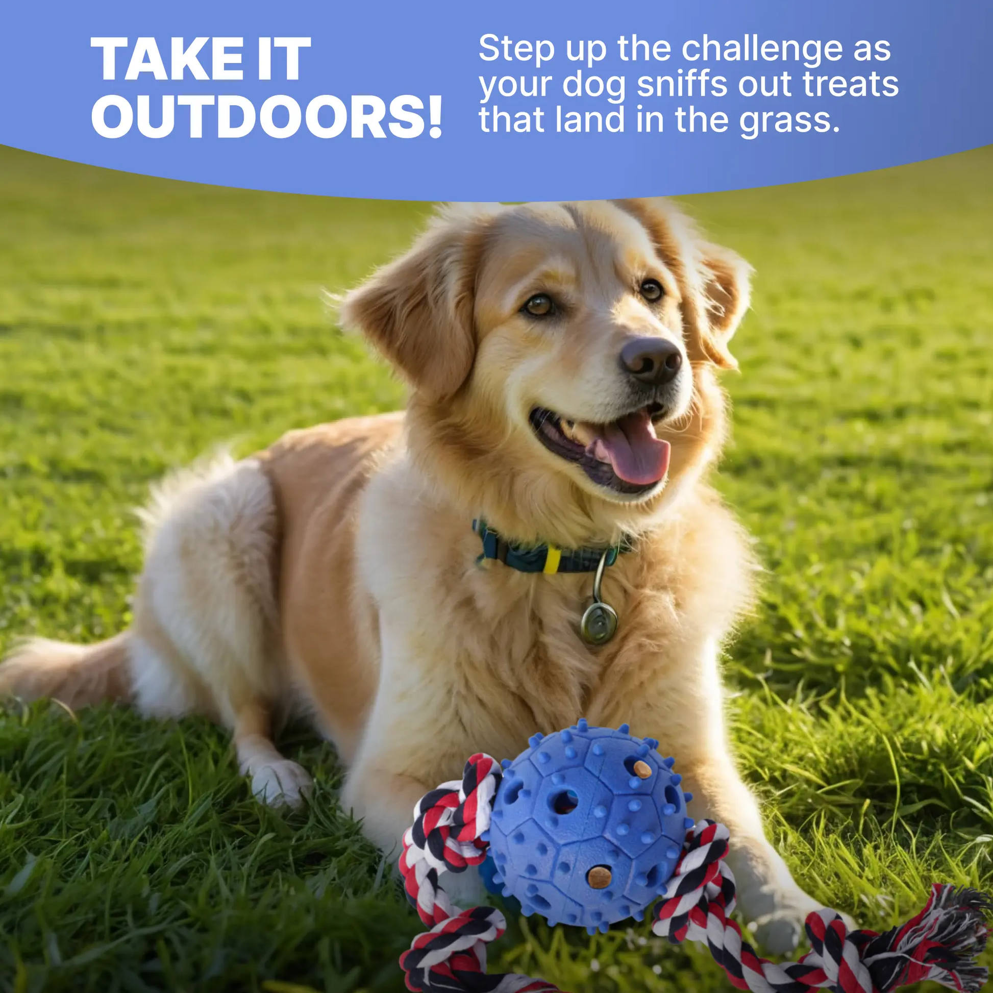 Jouet à mâcher pour chien avec corde à tirer et distributeur de friandises, balle en caoutchouc