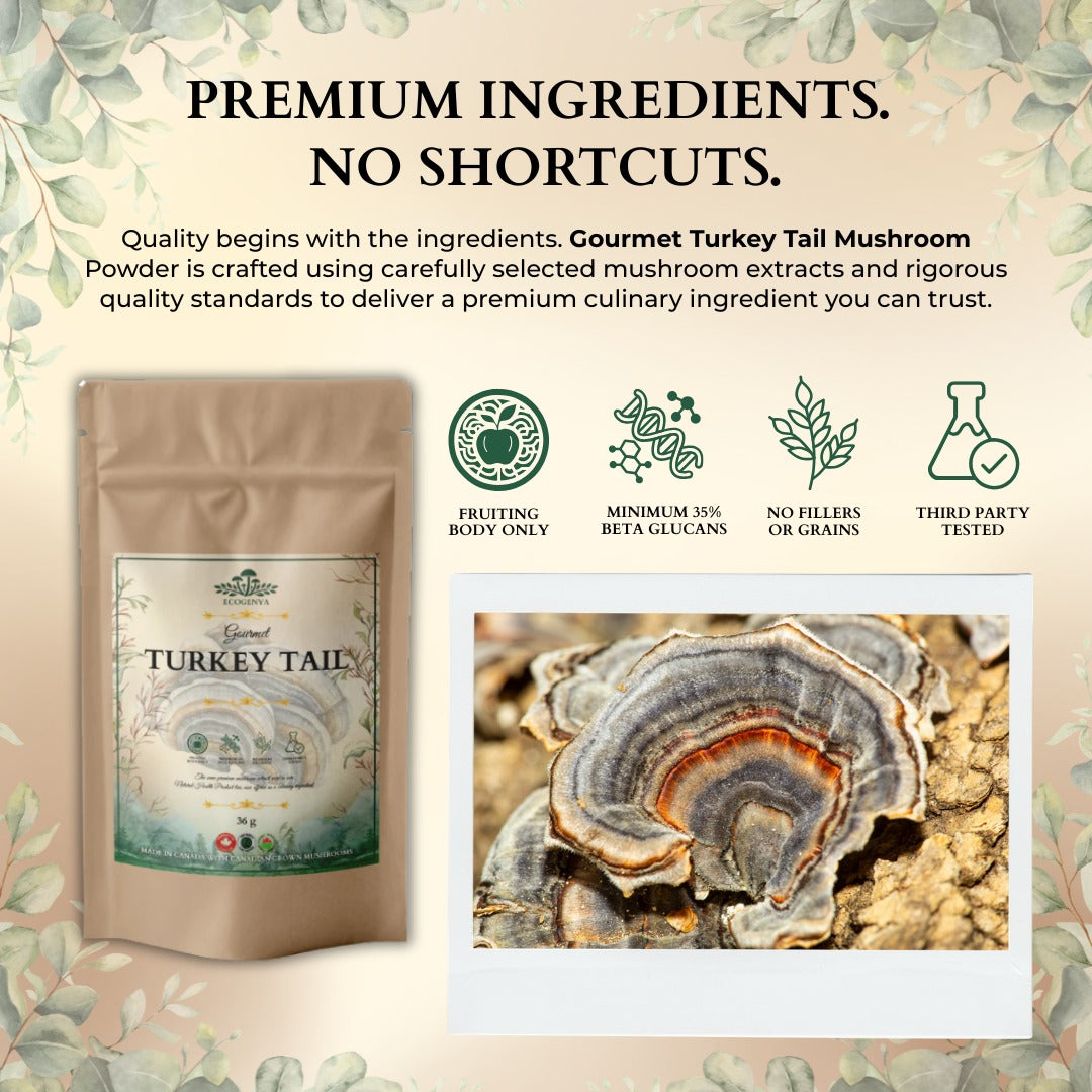 Ecogenya Gourmet Turkey Tail Mushroom Powder – Organic Fruiting Body Extract, 47% Beta-Glucans