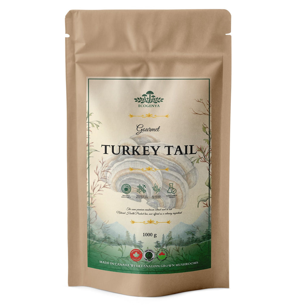 Ecogenya Gourmet Turkey Tail Mushroom Powder – Organic Fruiting Body Extract, 47% Beta-Glucans