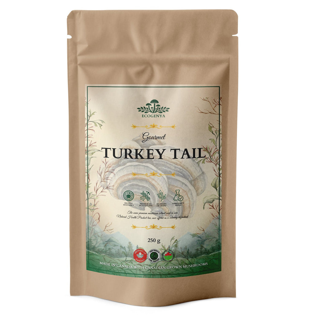 Ecogenya Gourmet Turkey Tail Mushroom Powder – Organic Fruiting Body Extract, 47% Beta-Glucans