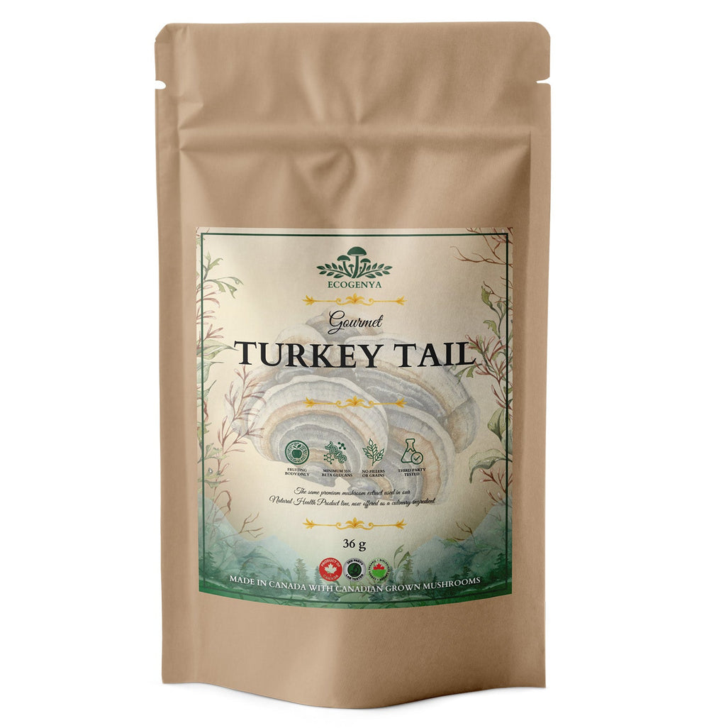 Ecogenya Gourmet Turkey Tail Mushroom Powder – Organic Fruiting Body Extract, 47% Beta-Glucans