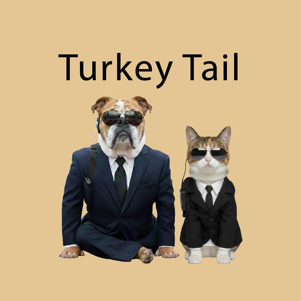 Ecogenya Turkey Tail Mushroom Extract for Dogs & Cats — Single-Ingredient