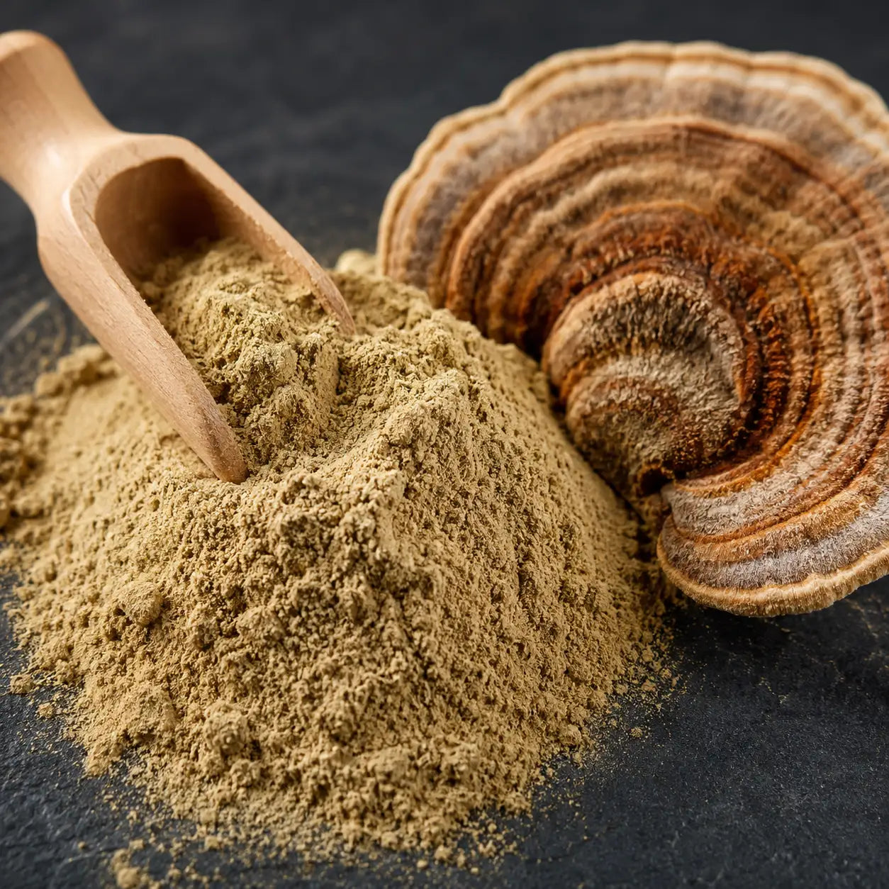 Ecogenya Turkey Tail Mushroom Extract for Dogs & Cats — Single-Ingredient