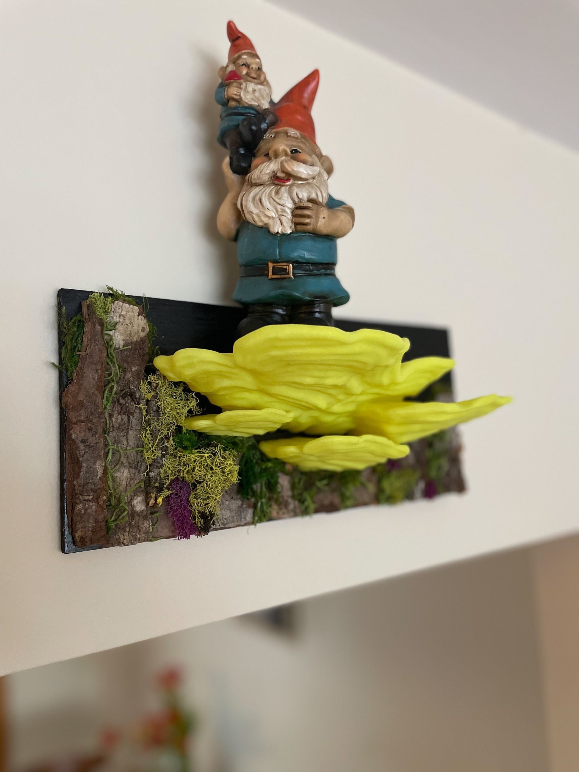 5 Fungus bundle: Glow In The Dark Mushroom Shelves - Medium Set