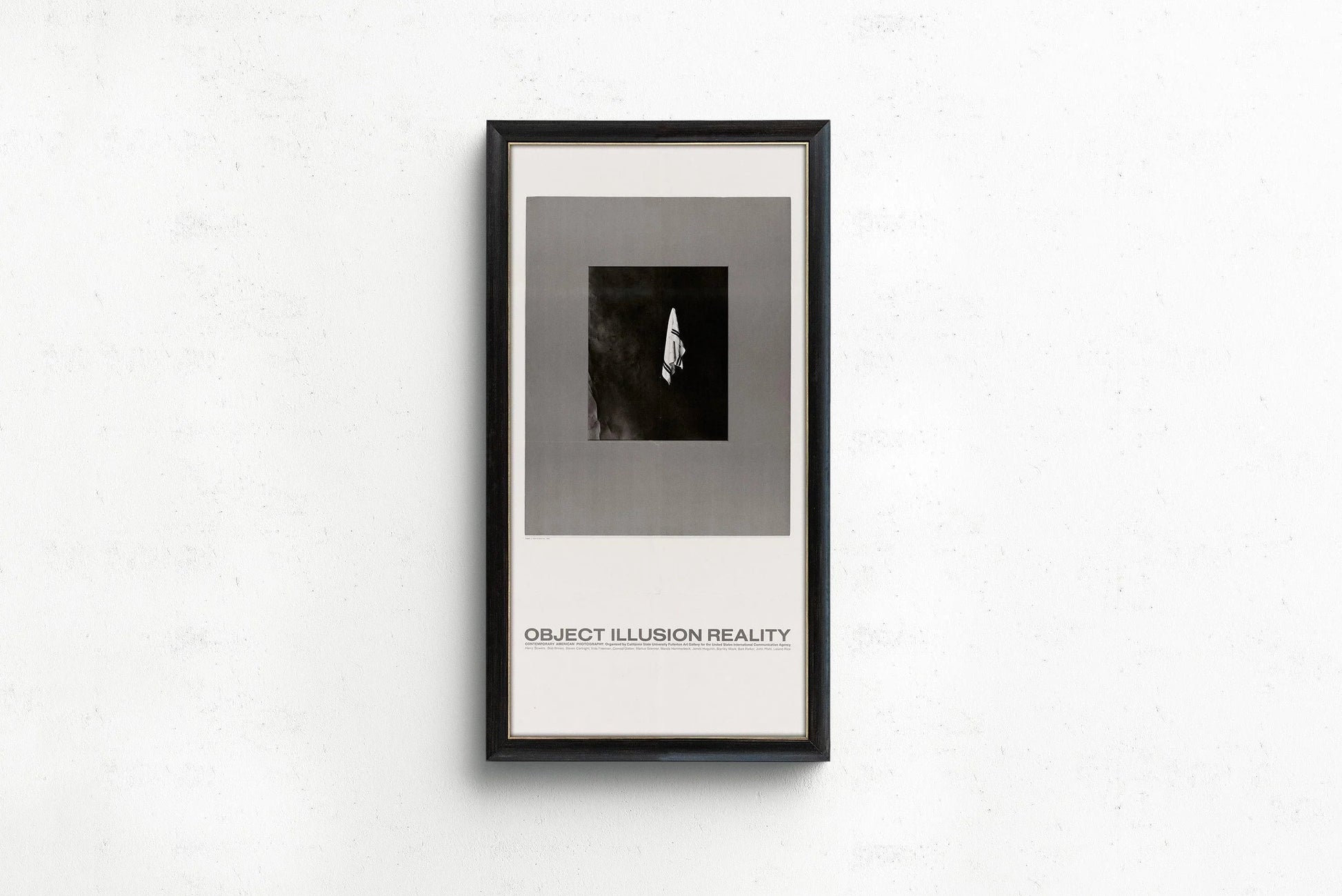USIA Poster: Object Illusion Reality - Midcentury Modern Giclee Print (2x1)