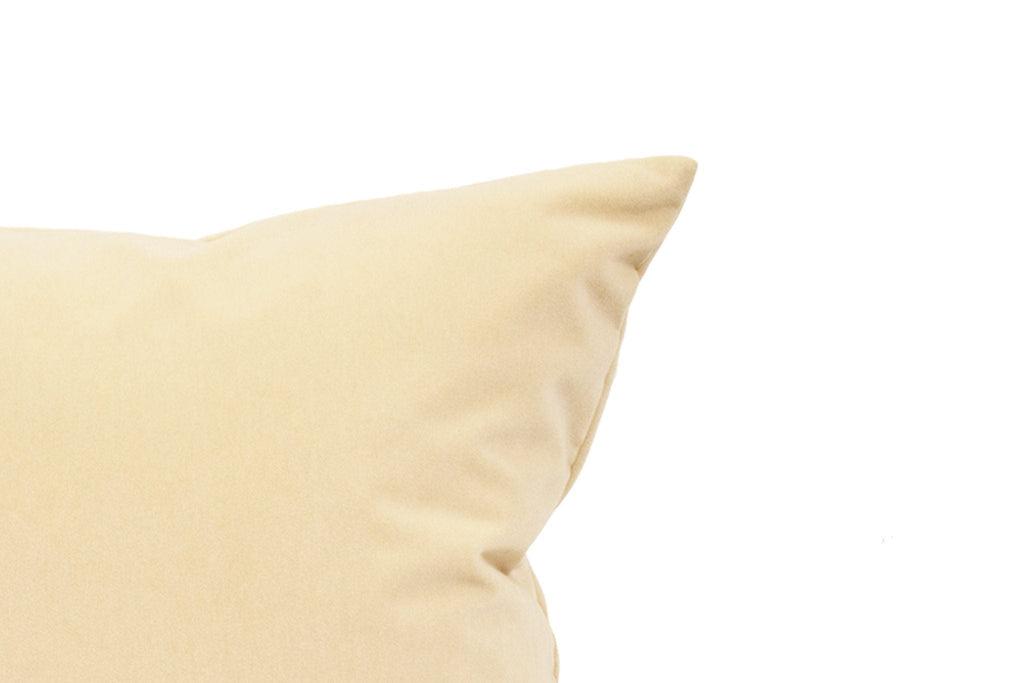 Housse de coussin en velours Brie
