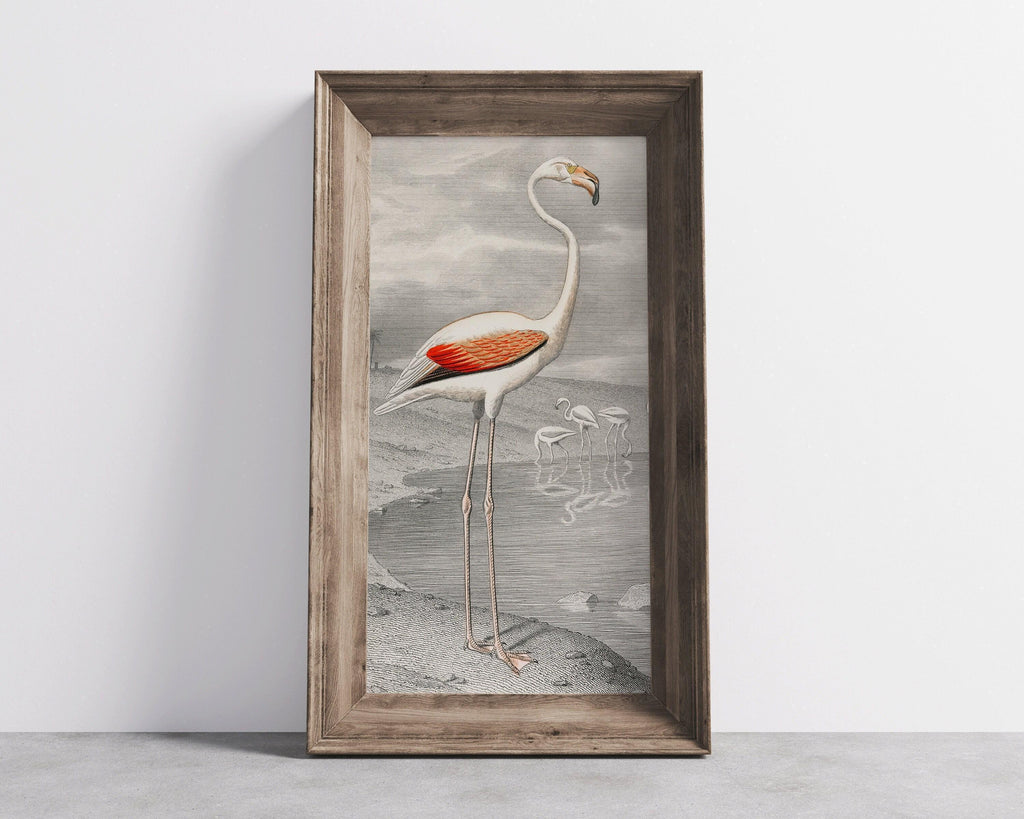 Estampe vintage de flamant rose par Edouard Travies (encadrée à la main ou non encadrée) (2x1)