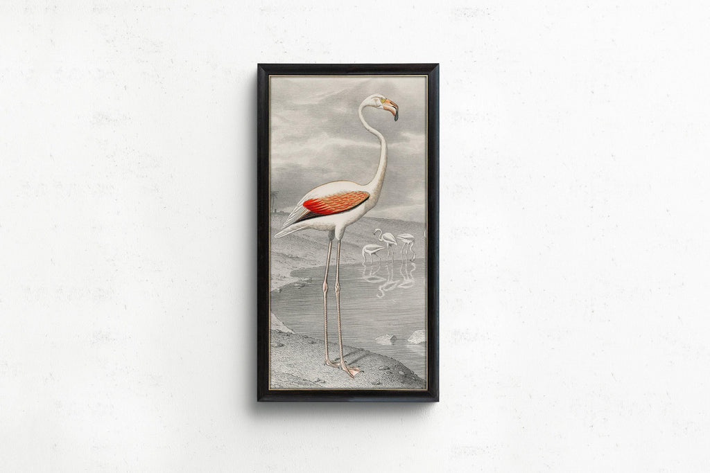 Estampe vintage de flamant rose par Edouard Travies (encadrée à la main ou non encadrée) (2x1)