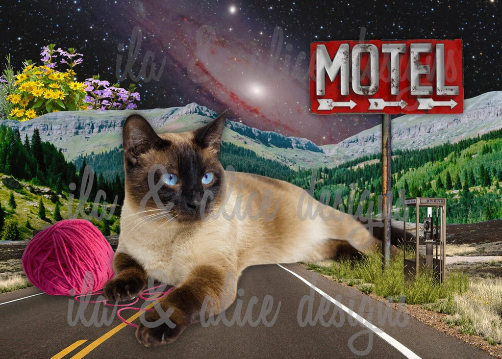 Cartes postales d'animaux amusants de science-fiction dans des collages surréalistes