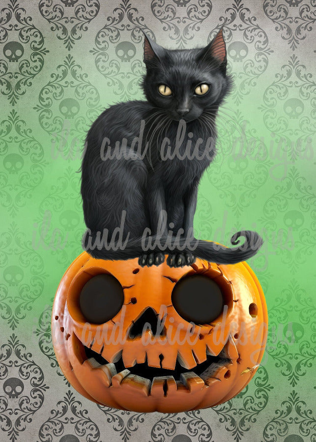 Black Cats and Pumpkins Halloween Postcards