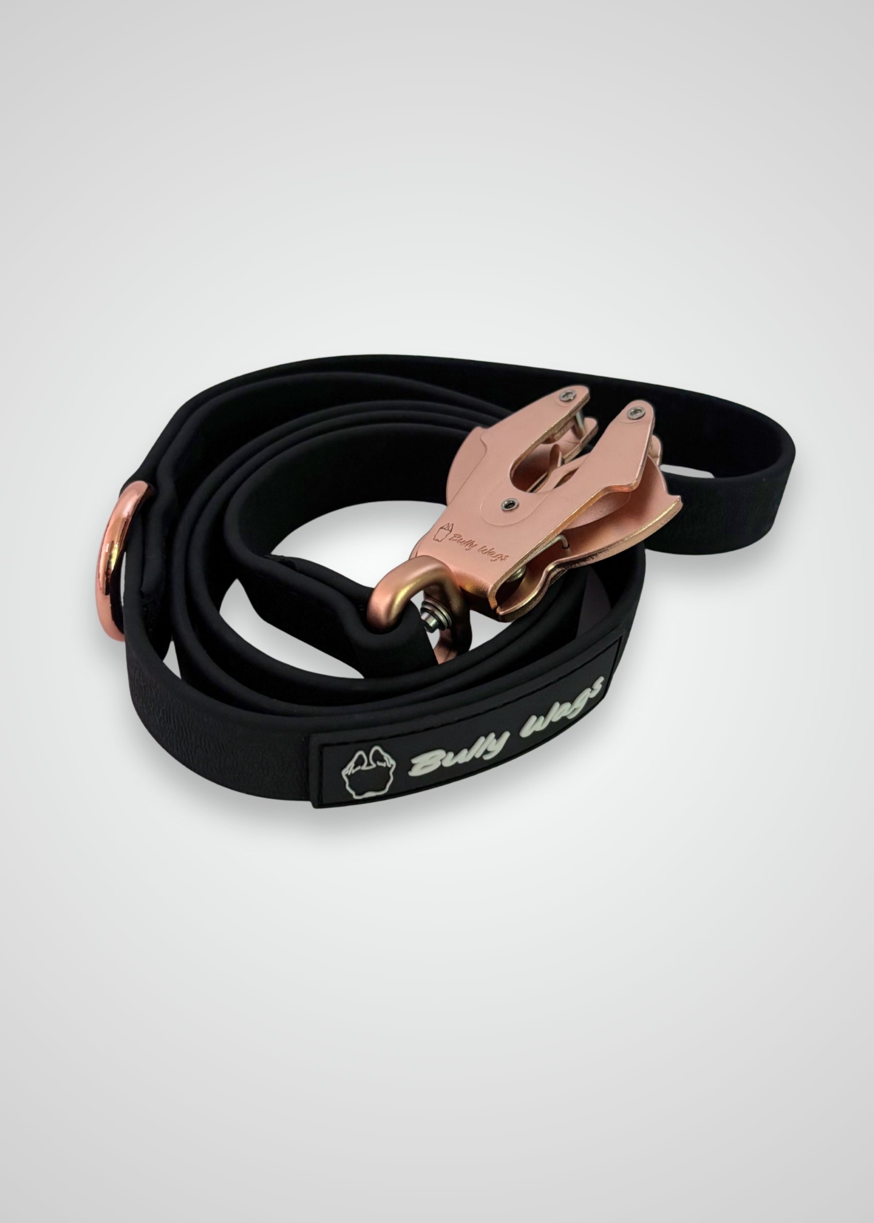 Waterproof PVC Dog Leash