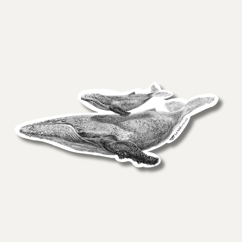 Whale with cub - Magnet