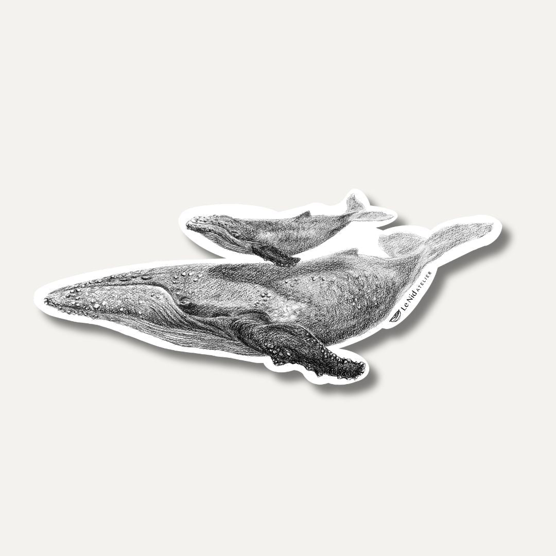 Whale with cub - Magnet