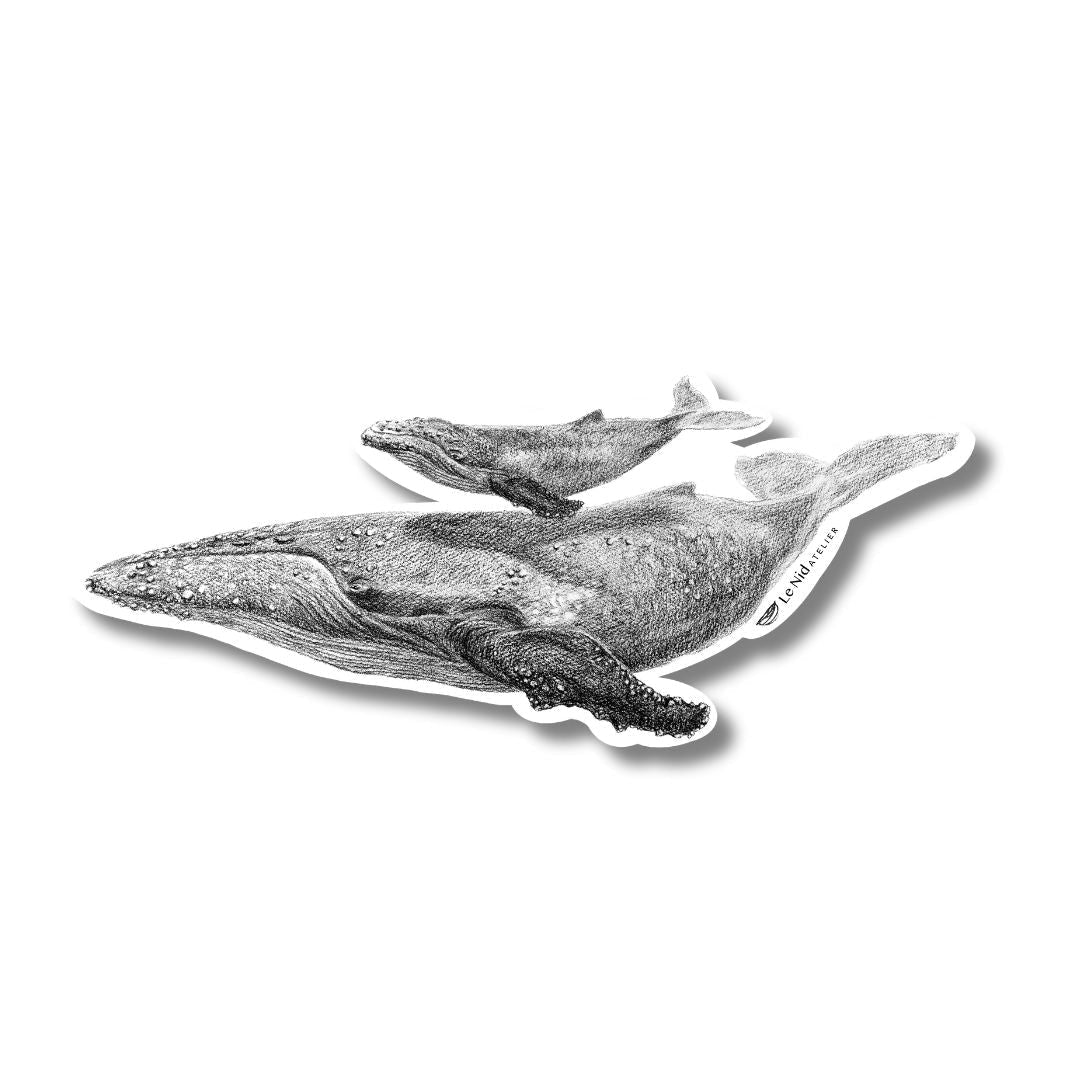 Whale with cub - Magnet