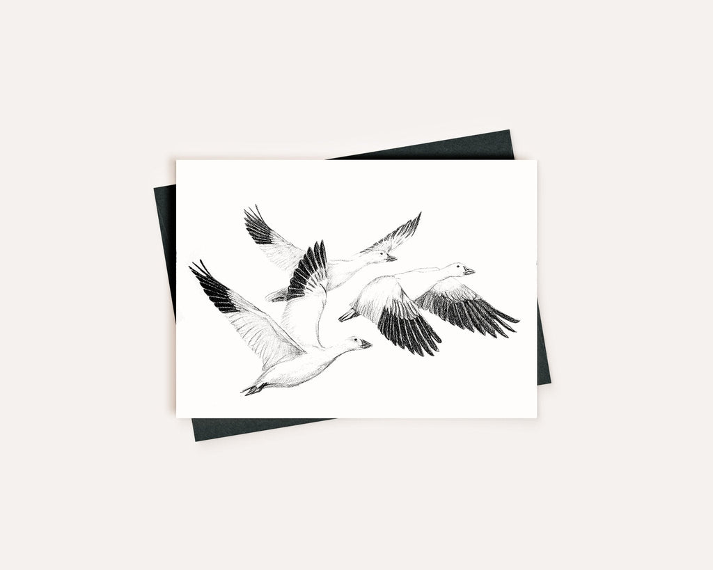 White Geese - Greeting Card