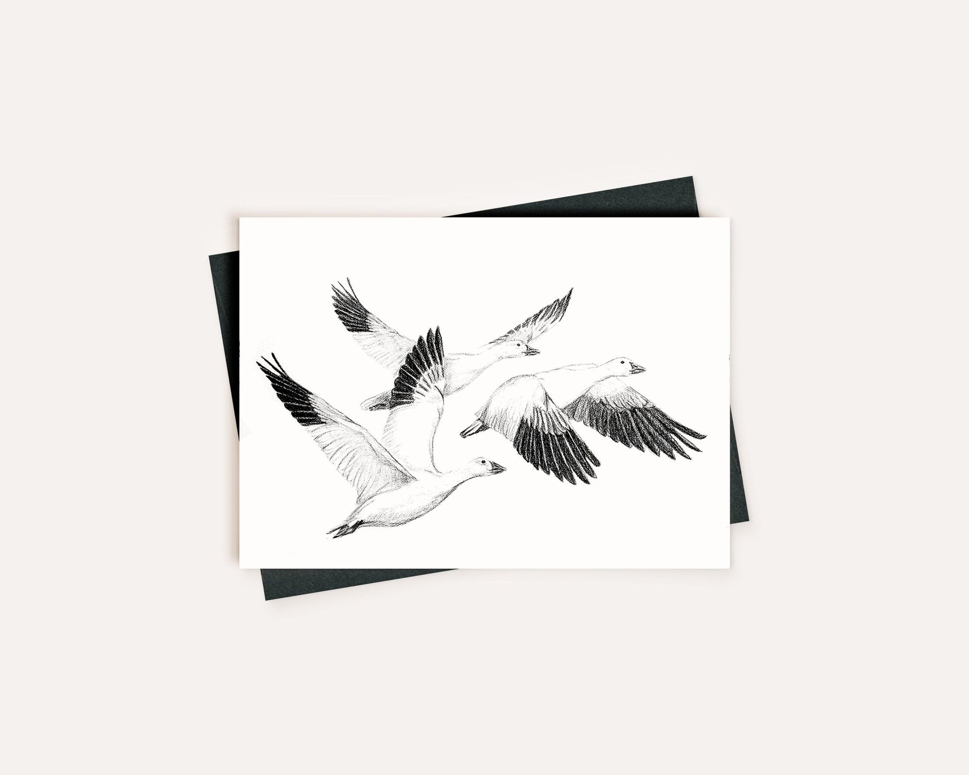 White Geese - Greeting Card
