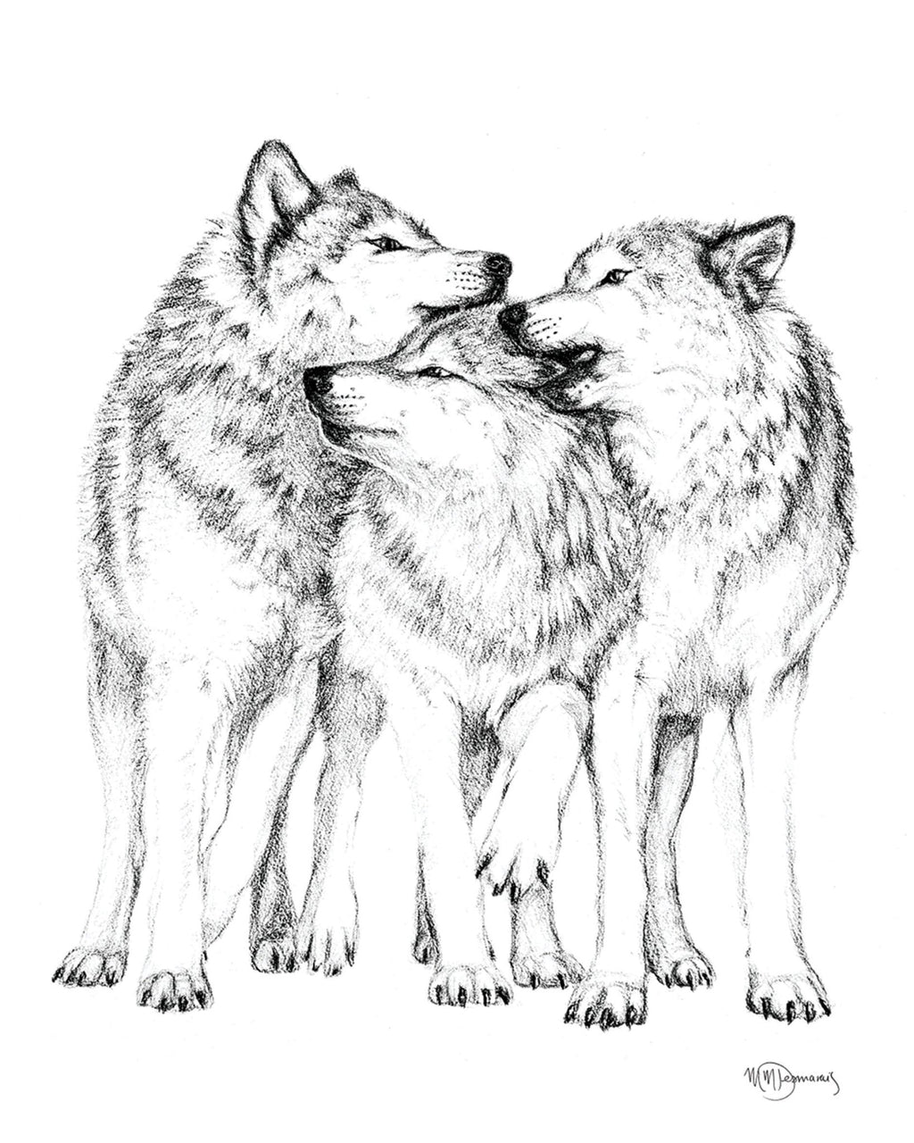 Wolf Pack - Greeting Card