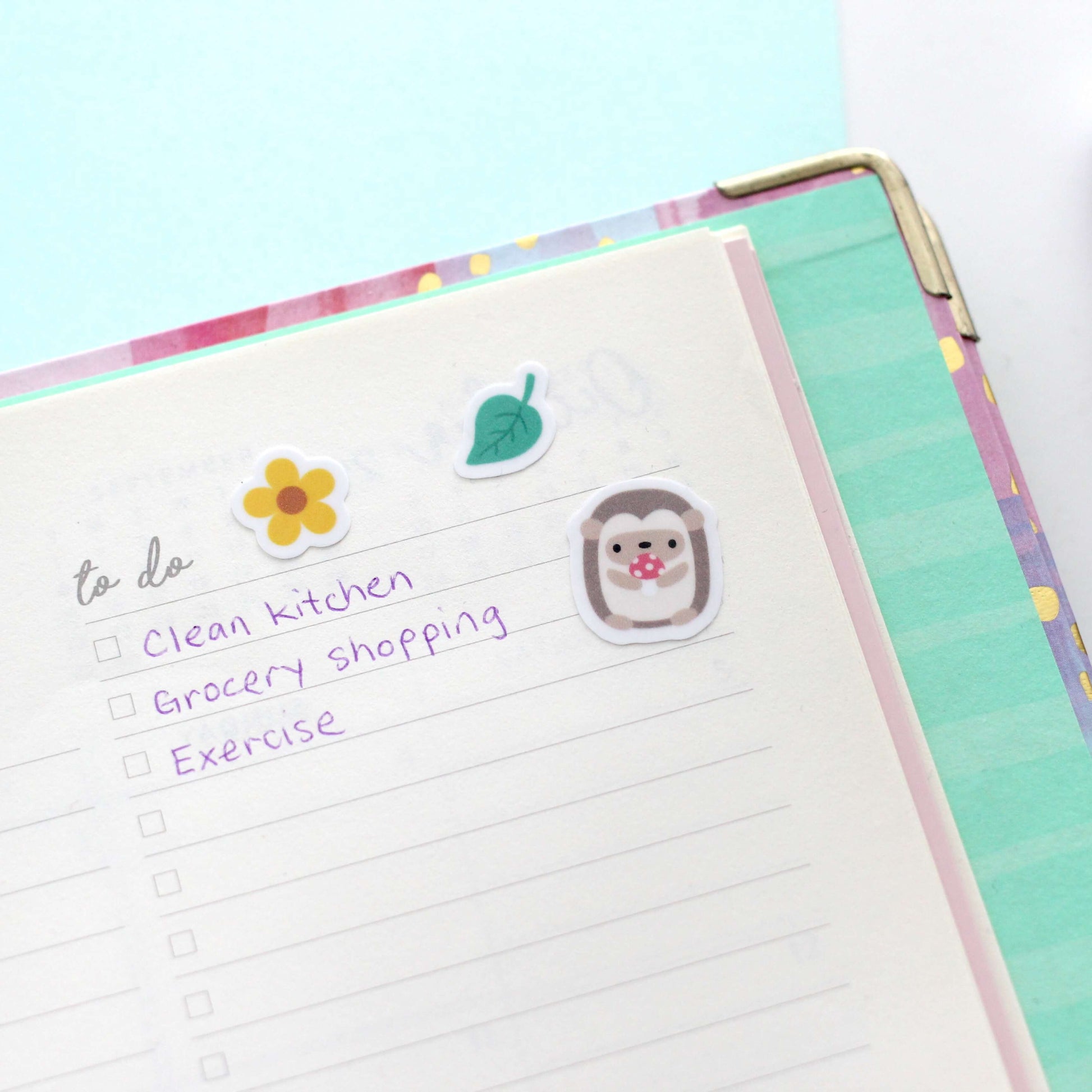 Woodland Animal Vinyl Sticker Sheet - Raccoon, Hedgehog, Fox, Skunk and Brown Bear Planner Stickers